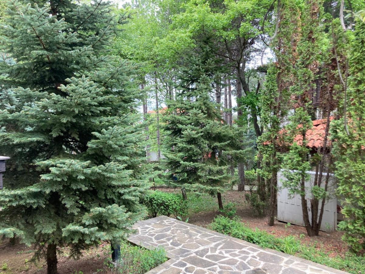 Lovely Apartment Santa Marina Sozopol Zewnętrze zdjęcie